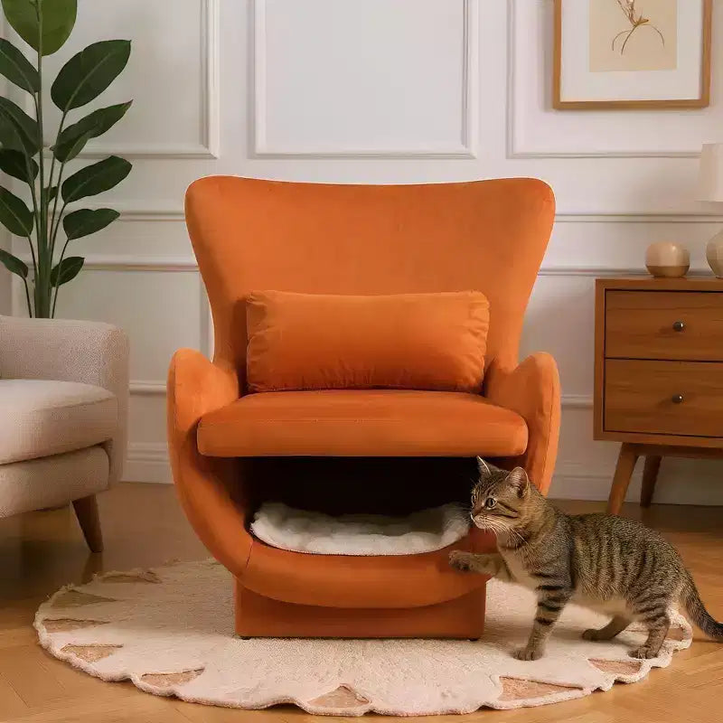 Poltrona d'accento con spazio per animali domestici, poltrona lounge in velluto 2 in 1, poltrona singola imbottita per soggiorno ufficio